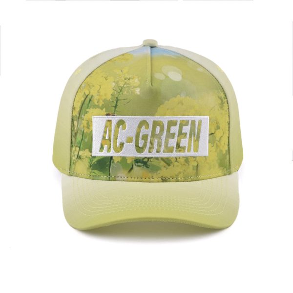 custom embroidery baseball cap