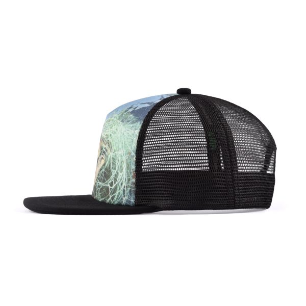 Flat-Brim Snapback Hat