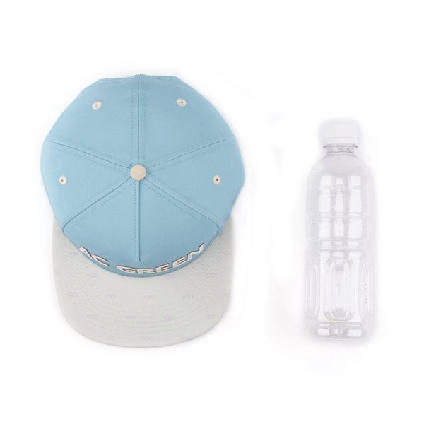 Light Blue Snapback Hat