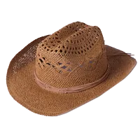 cowboy hat